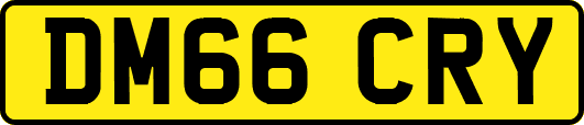 DM66CRY