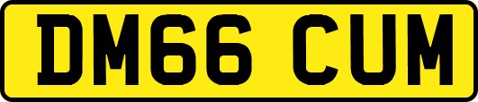 DM66CUM