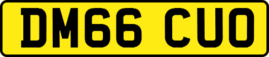 DM66CUO