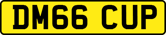DM66CUP