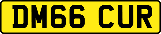DM66CUR