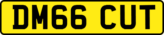 DM66CUT