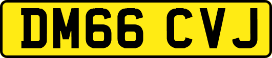 DM66CVJ