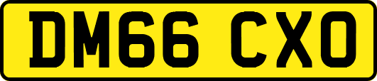 DM66CXO