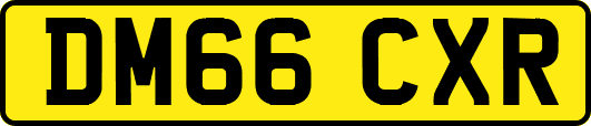 DM66CXR