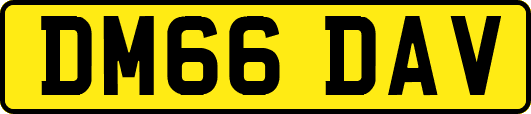 DM66DAV