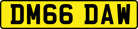 DM66DAW