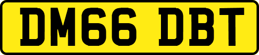 DM66DBT