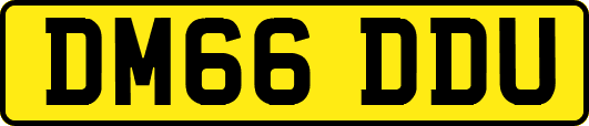 DM66DDU