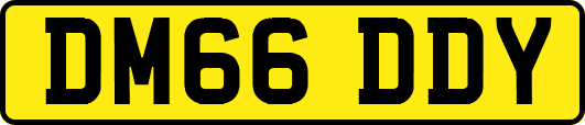 DM66DDY