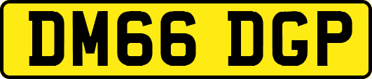 DM66DGP