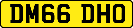 DM66DHO