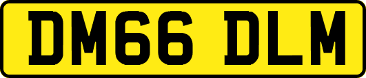DM66DLM