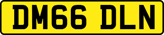DM66DLN