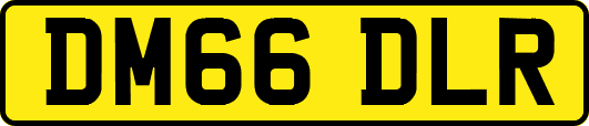 DM66DLR