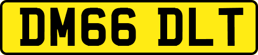 DM66DLT