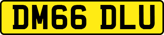 DM66DLU