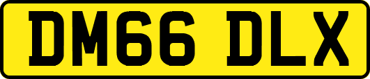 DM66DLX
