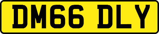 DM66DLY