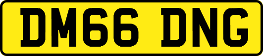 DM66DNG