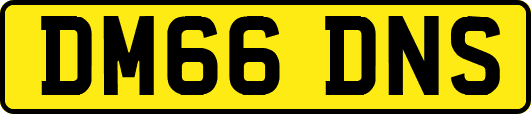 DM66DNS