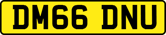 DM66DNU