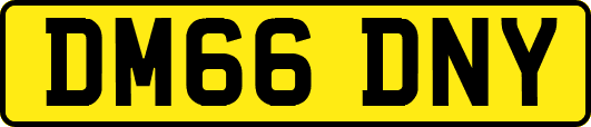 DM66DNY