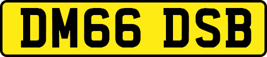 DM66DSB