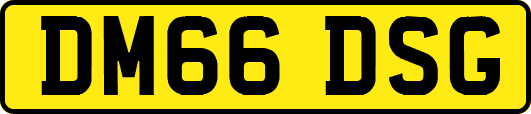 DM66DSG