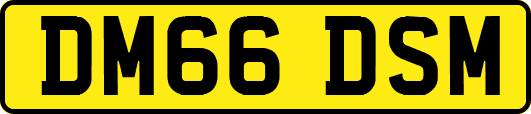 DM66DSM