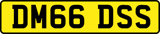 DM66DSS