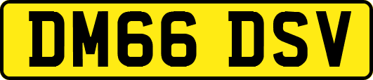 DM66DSV