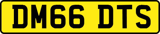 DM66DTS