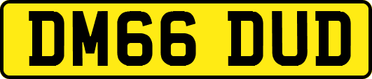 DM66DUD