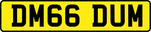 DM66DUM