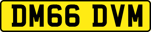 DM66DVM