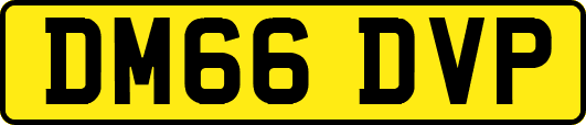 DM66DVP
