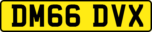DM66DVX