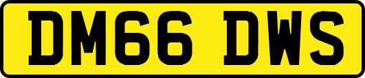 DM66DWS