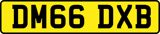 DM66DXB