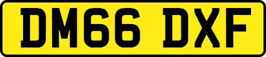 DM66DXF