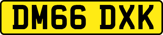 DM66DXK