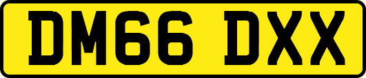 DM66DXX