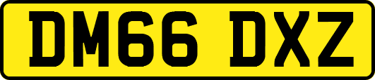 DM66DXZ
