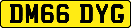 DM66DYG