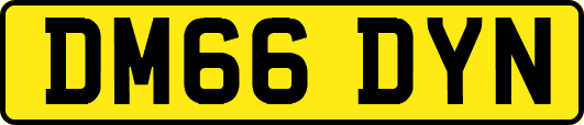 DM66DYN