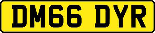 DM66DYR