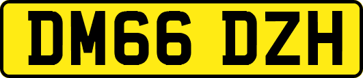 DM66DZH