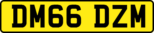 DM66DZM