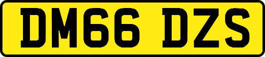 DM66DZS